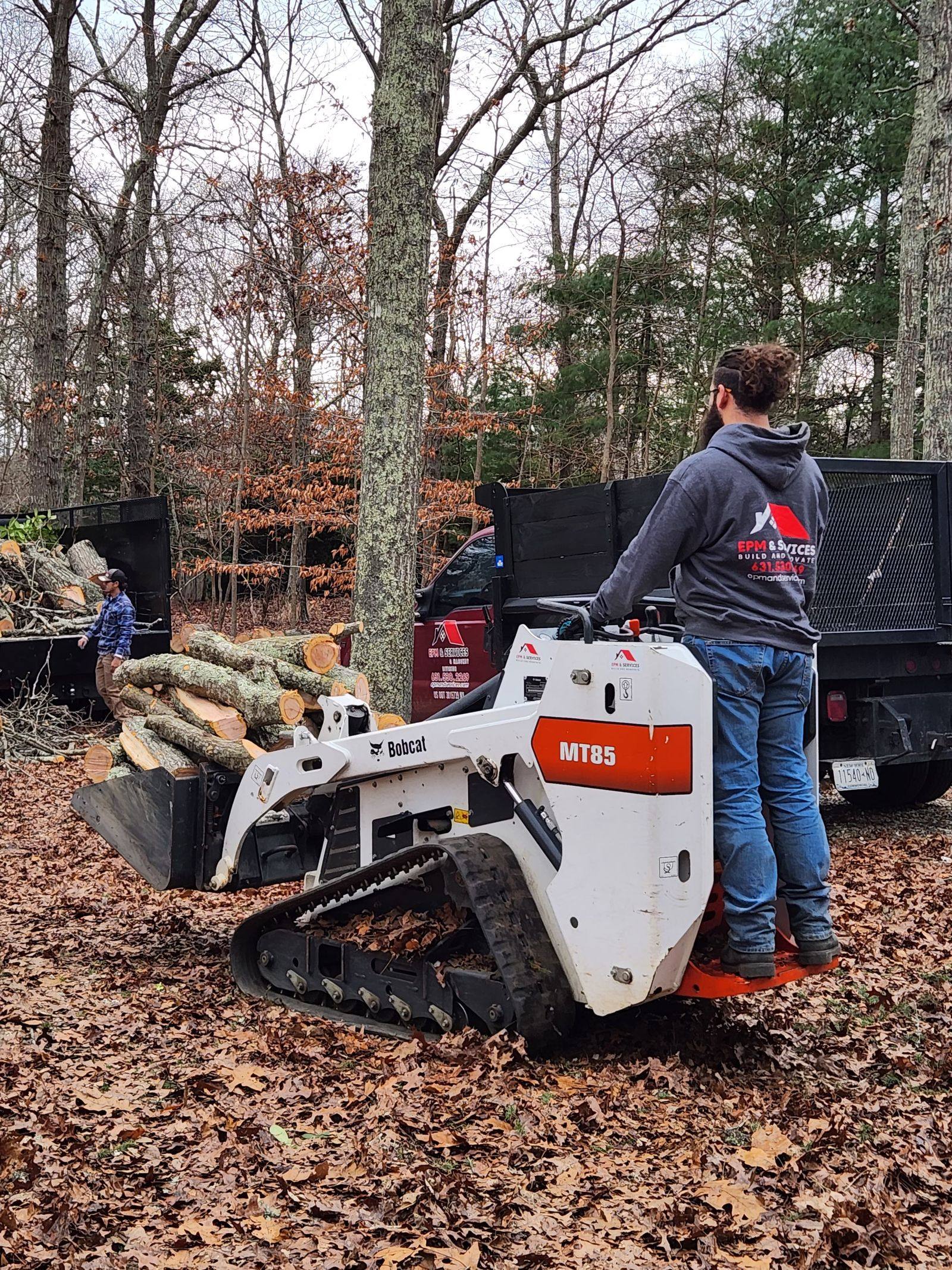 Bobcat loading cut logs during tree removal in Lake County, FL Bobcat loading cut logs during tree removal in Lake County, FL