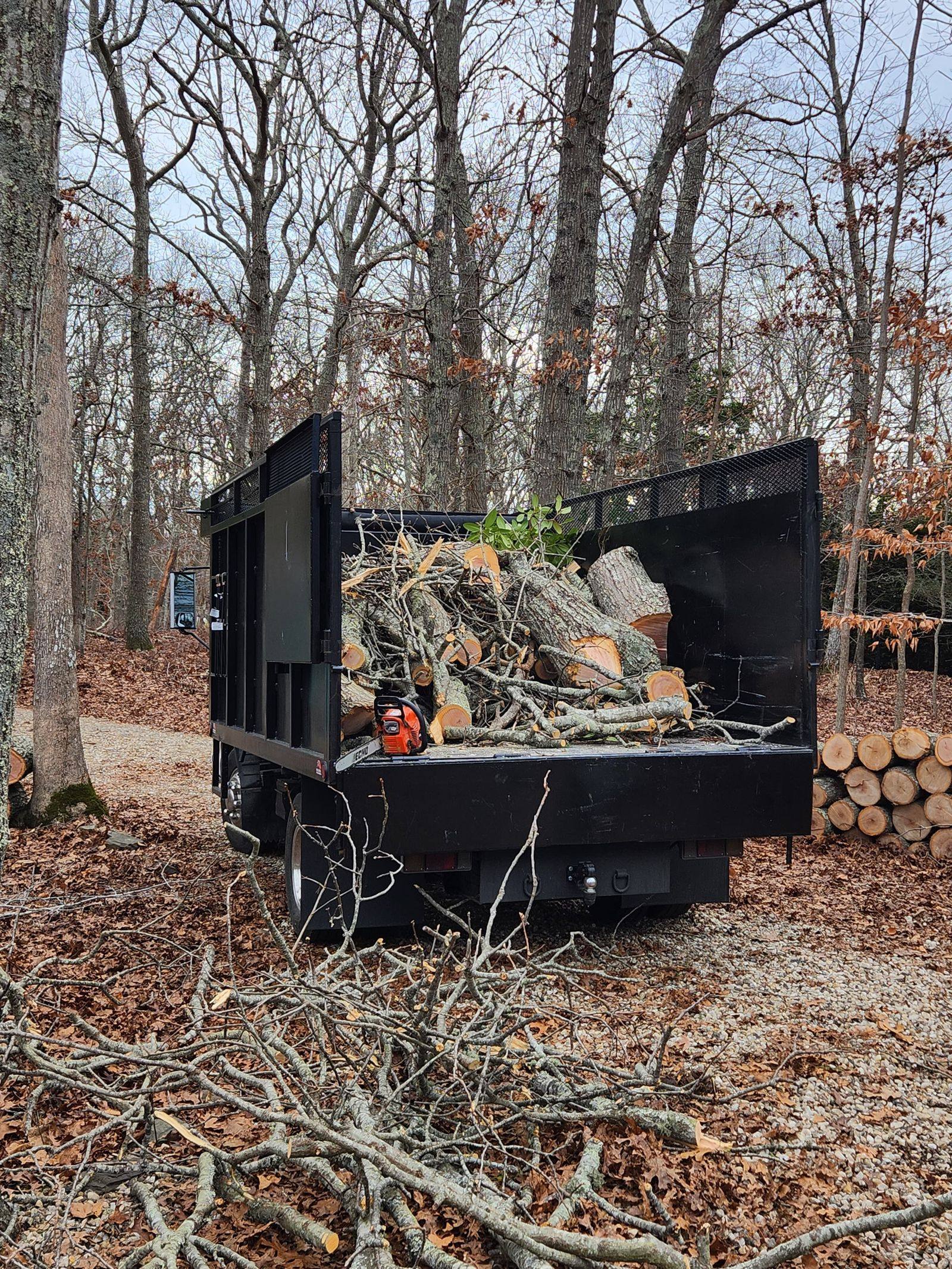Log and branch hauling after yard cleanup and tree removal in Eustis, FL Log and branch hauling after yard cleanup and tree removal in Eustis, FL